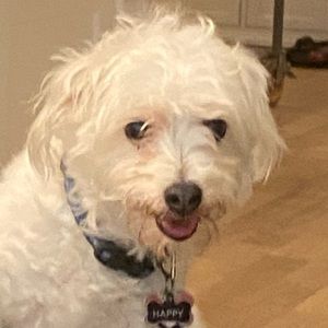 Meet your Posher, Camille